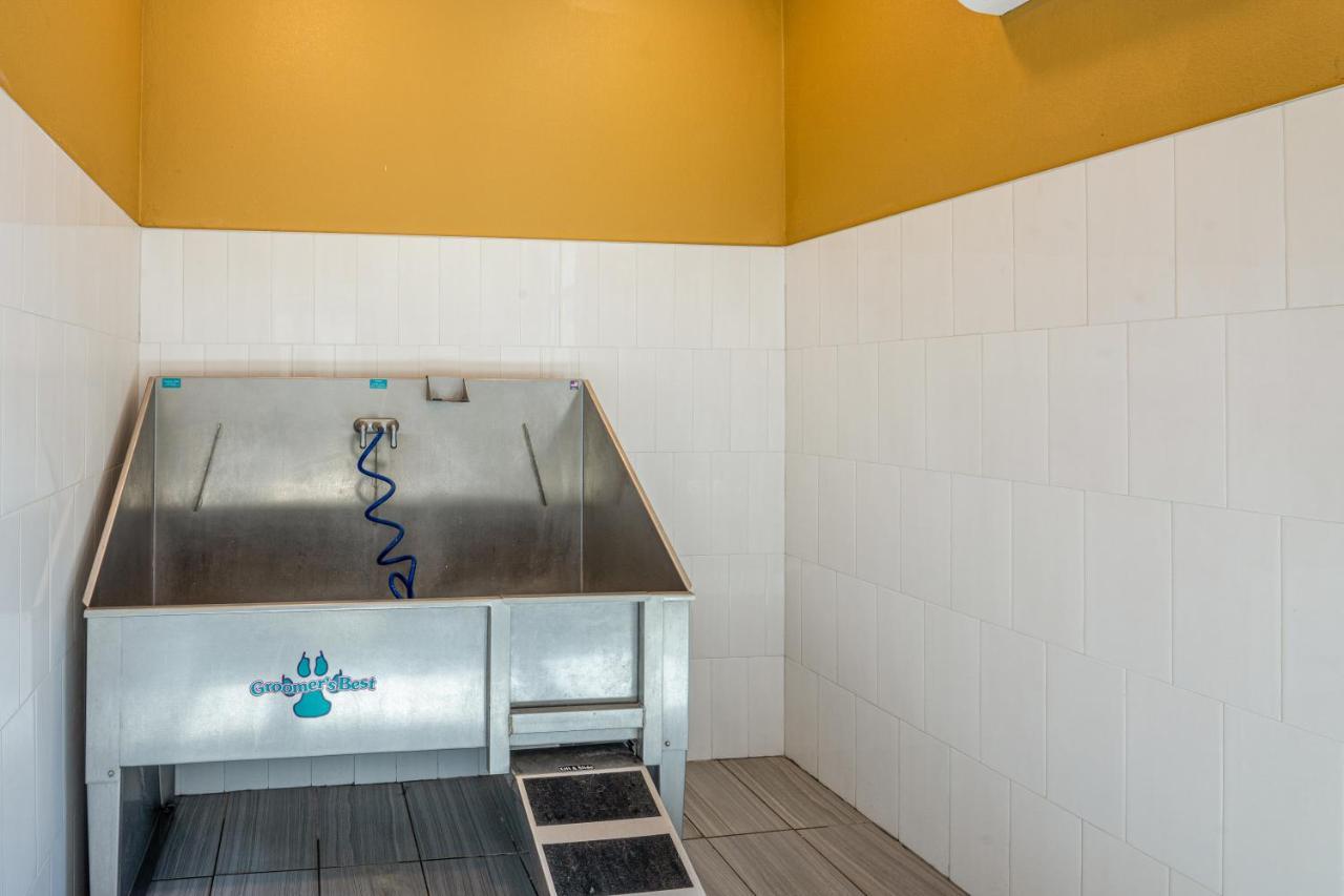 Luxe 3B/2B Getaway - Pool, Gym, Parking, Pet Wash Apartamento Leander Exterior foto